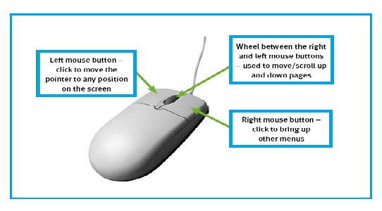 Computer mouse parts info