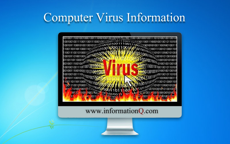 Computer Virus | How a computer virus detect |Types of virus | InforamtionQ