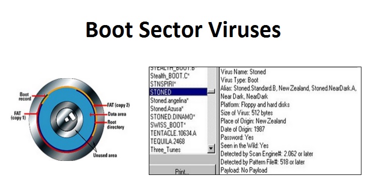 computer Boot Sector Viruses
