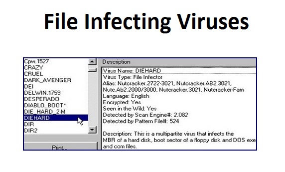 computer File Infecting Viruses