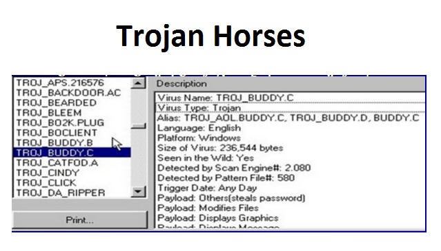 computer Trojan Horses Infecting Viruses