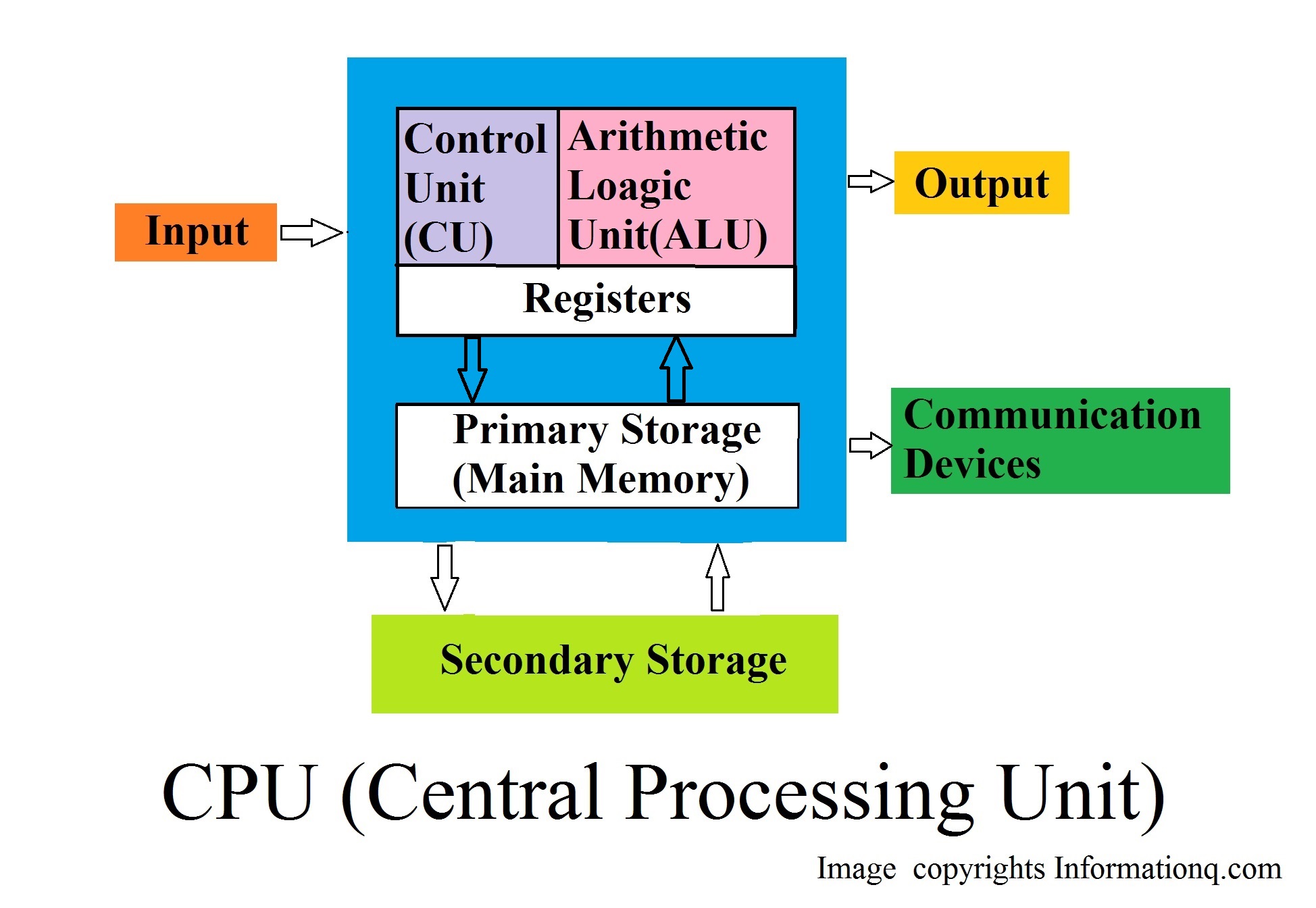 The central processing unit (CPU): Its components and