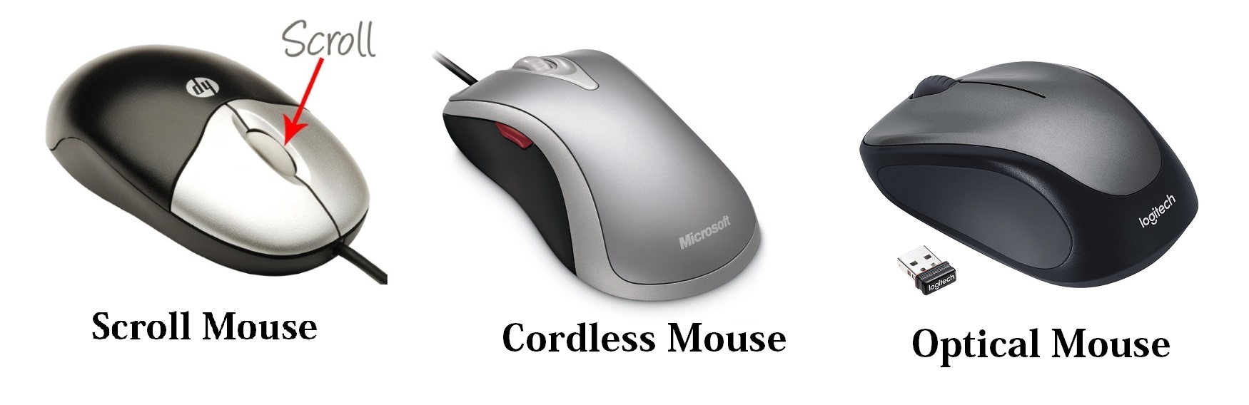 Types of computer mouse | InforamtionQ.com