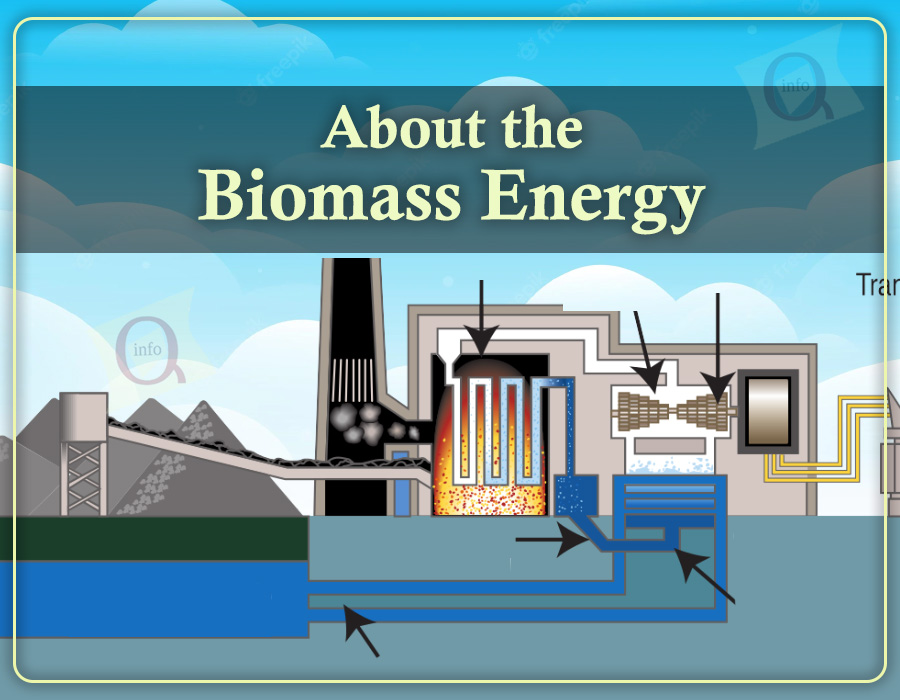 About the Biomass Energy