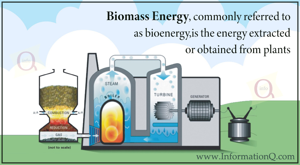 Biomass energy, commonly referred to as bioenergy, is the energy extracted or obtained from plants