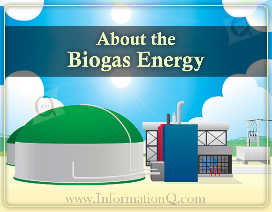 01 Biogas Energy