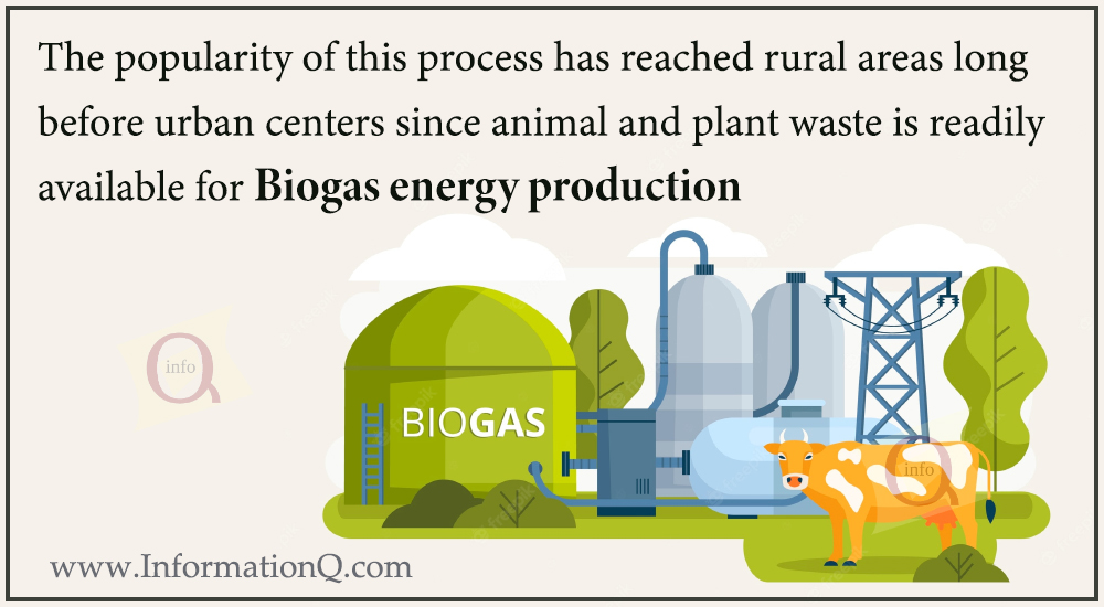 The popularity of this process has reached rural areas long before urban centers since animal and plant waste is readily available for Biogas energy production