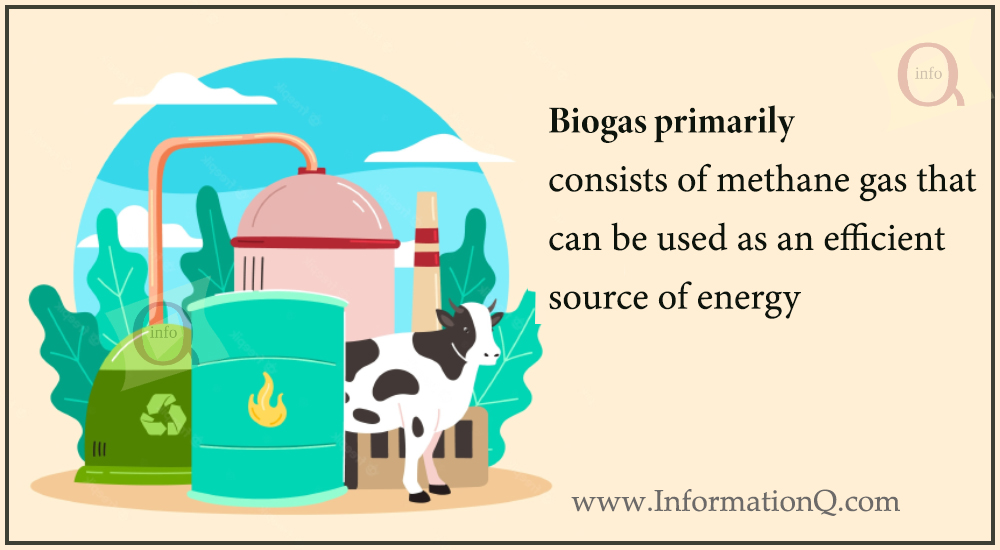 Biogas primarily consists of methane gas that can be used as an efficient source of energy